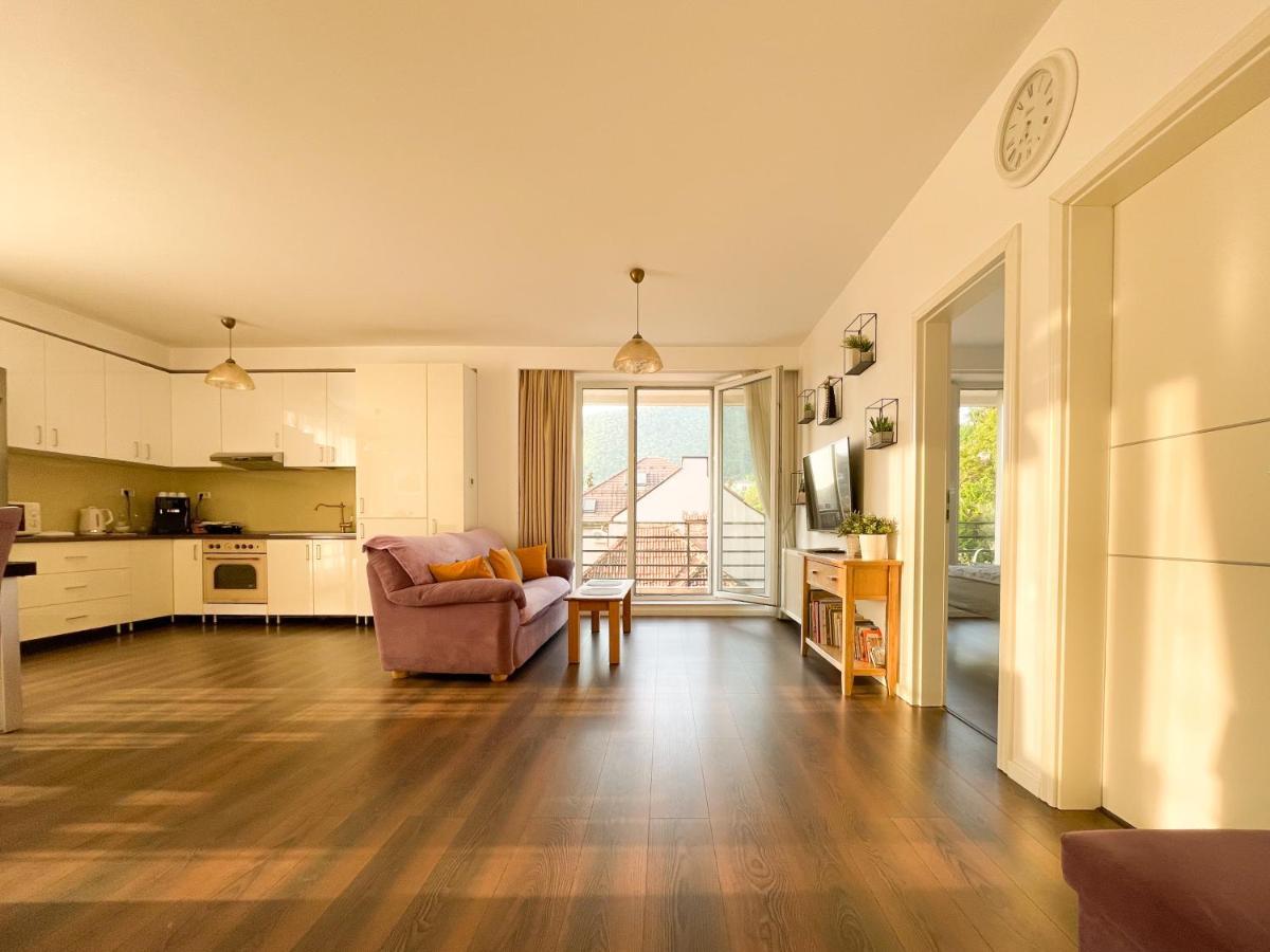 Central Premium Apartment Brasov Luaran gambar